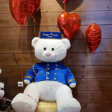 Snow Pearl & Free Appartamento Bansko