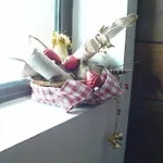 Snow Pearl & Free *