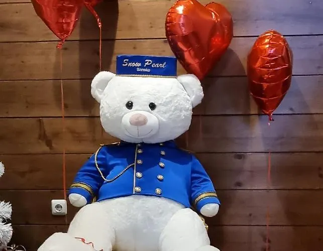 Snow Pearl & Free Apartment Bansko