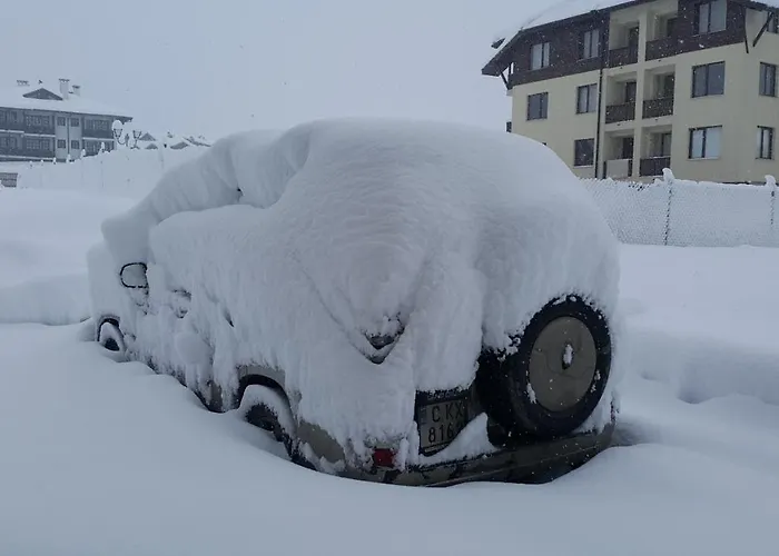 Snow Pearl & Free * Bansko